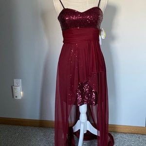 Windsor New Burgundy Dress